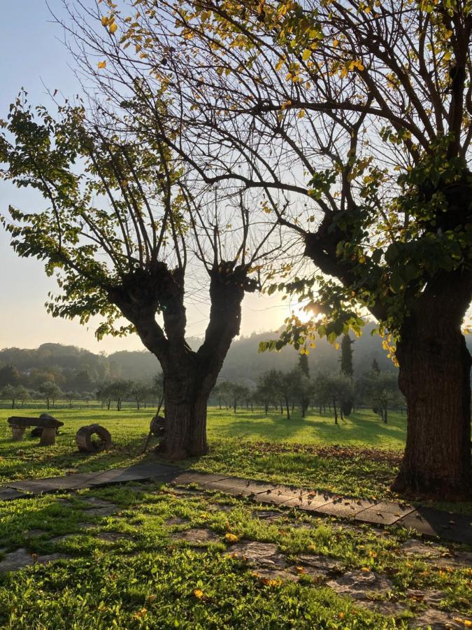 Agriturismo San Michele Vicenza Ngoại thất bức ảnh