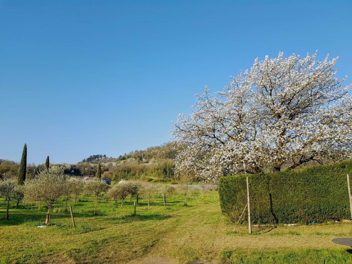 Agriturismo San Michele Vicenza Ngoại thất bức ảnh